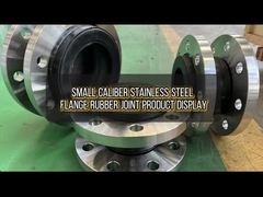 Paslanmaz çelik flens lastik eklemleri